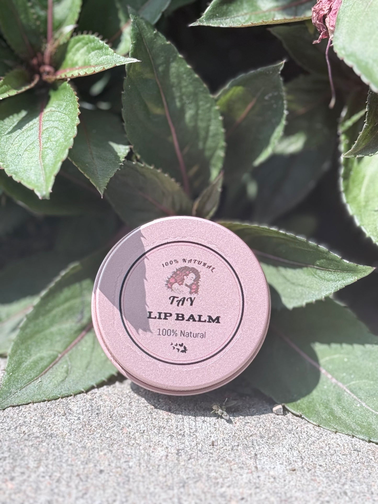 Daily Radiance Facial Set